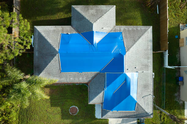 Professional Roofing in Pepeekeo, HI