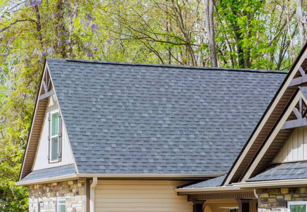 Sheet Metal Roofing in Pepeekeo, HI